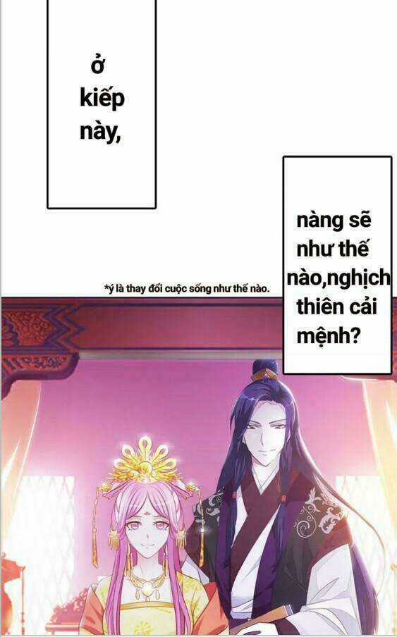 Trọng Sinh Y Phi - Chapter 1 - Trang 14