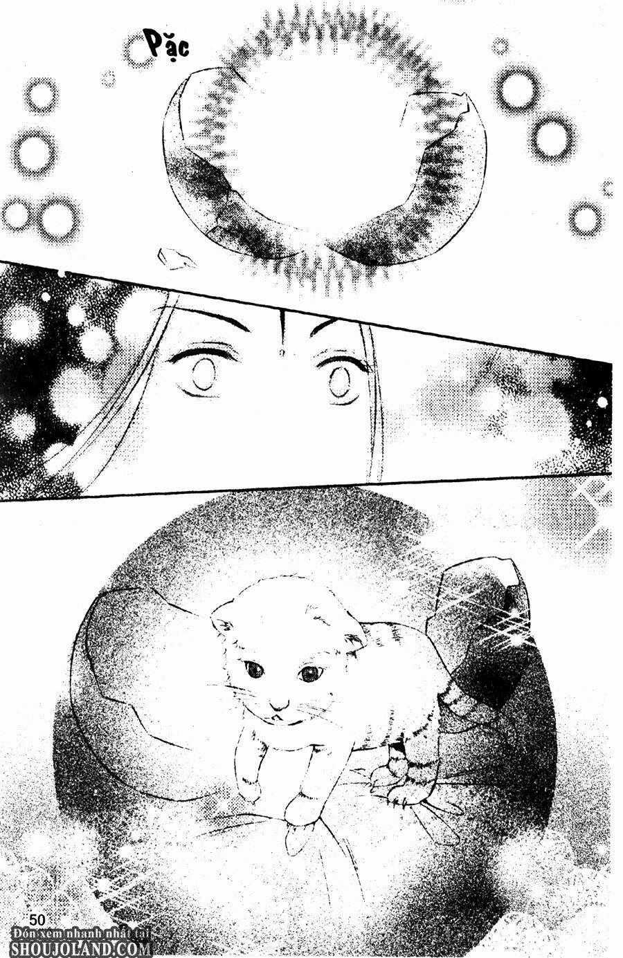 Trứng Như Ý - Chapter 1 - Trang 48