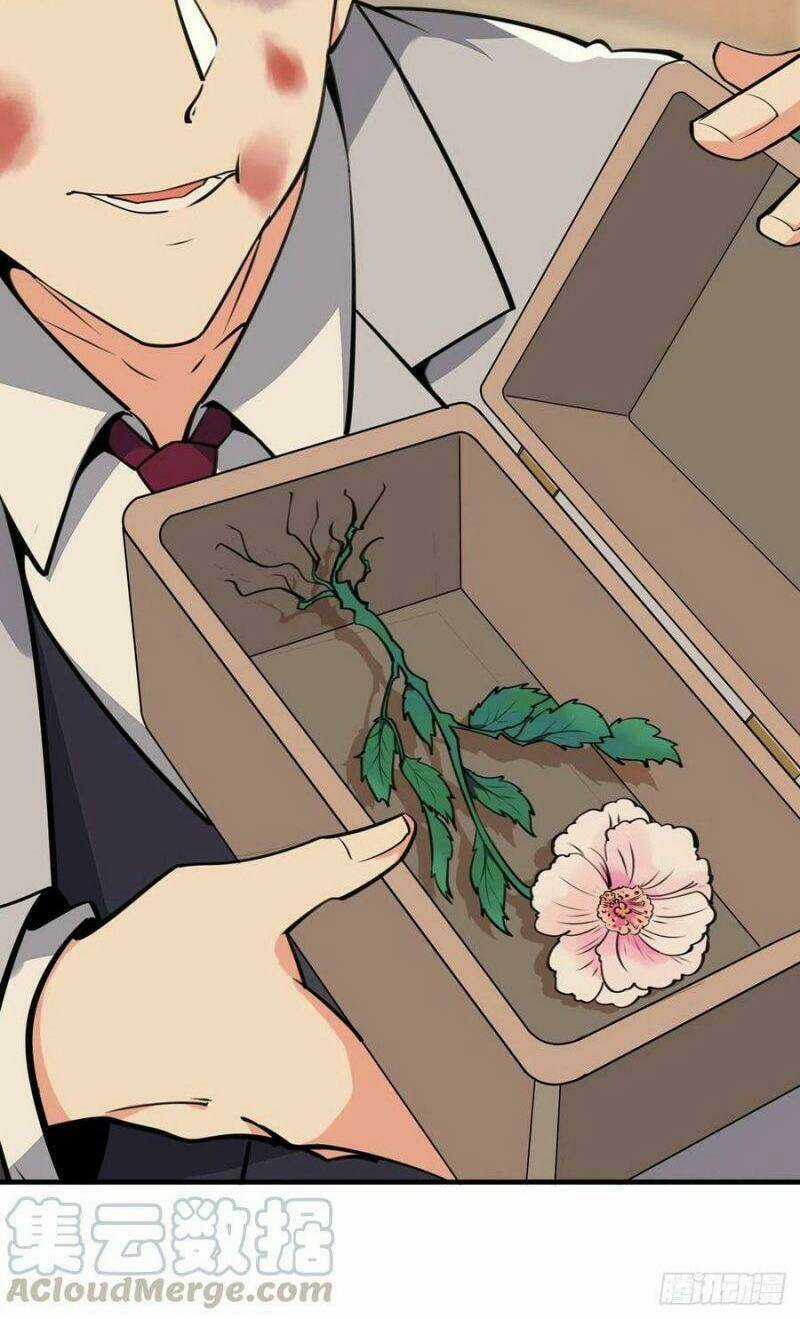 Trùng Sinh Đô Thị Thiên Tôn - Chapter 187 - Trang 4