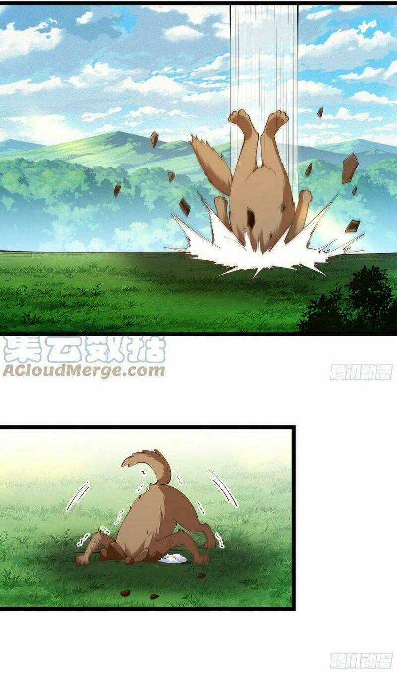 Trùng Sinh Đô Thị Thiên Tôn - Chapter 291 - Trang 4