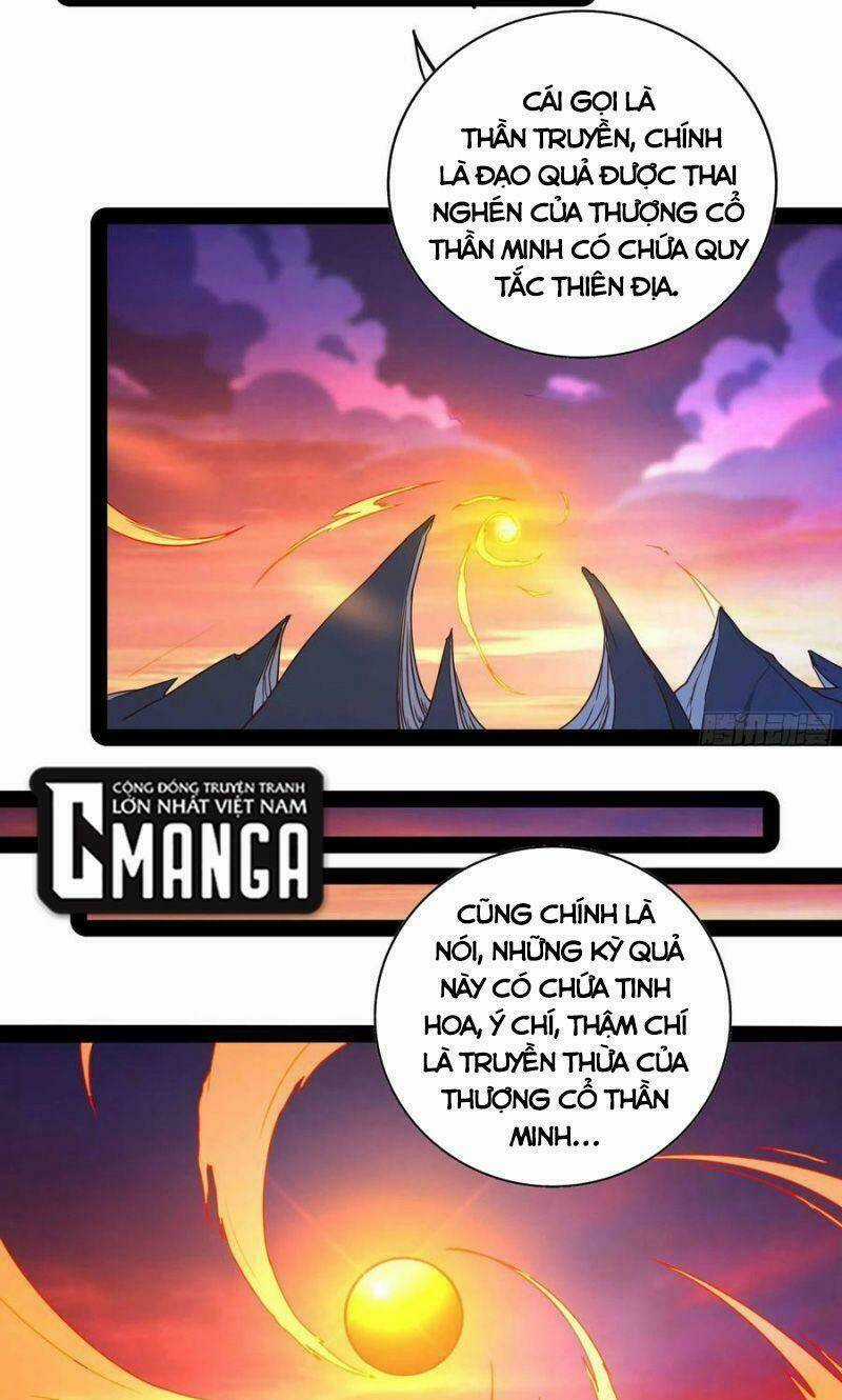 Trùng Sinh Đô Thị Thiên Tôn - Chapter 294 - Trang 9