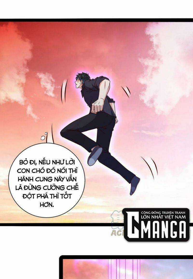 Trùng Sinh Đô Thị Thiên Tôn - Chapter 295 - Trang 5