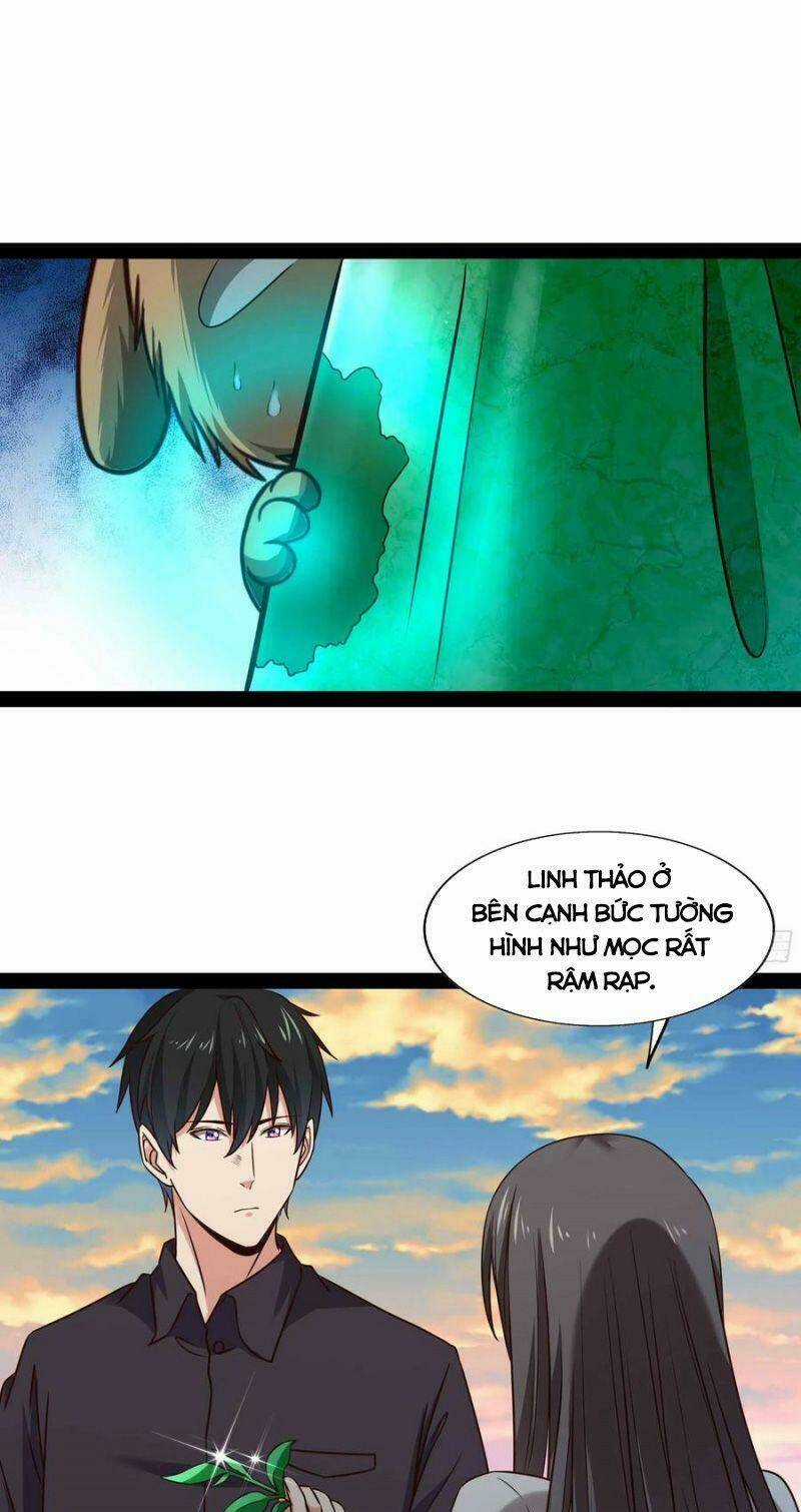 Trùng Sinh Đô Thị Thiên Tôn - Chapter 296 - Trang 11