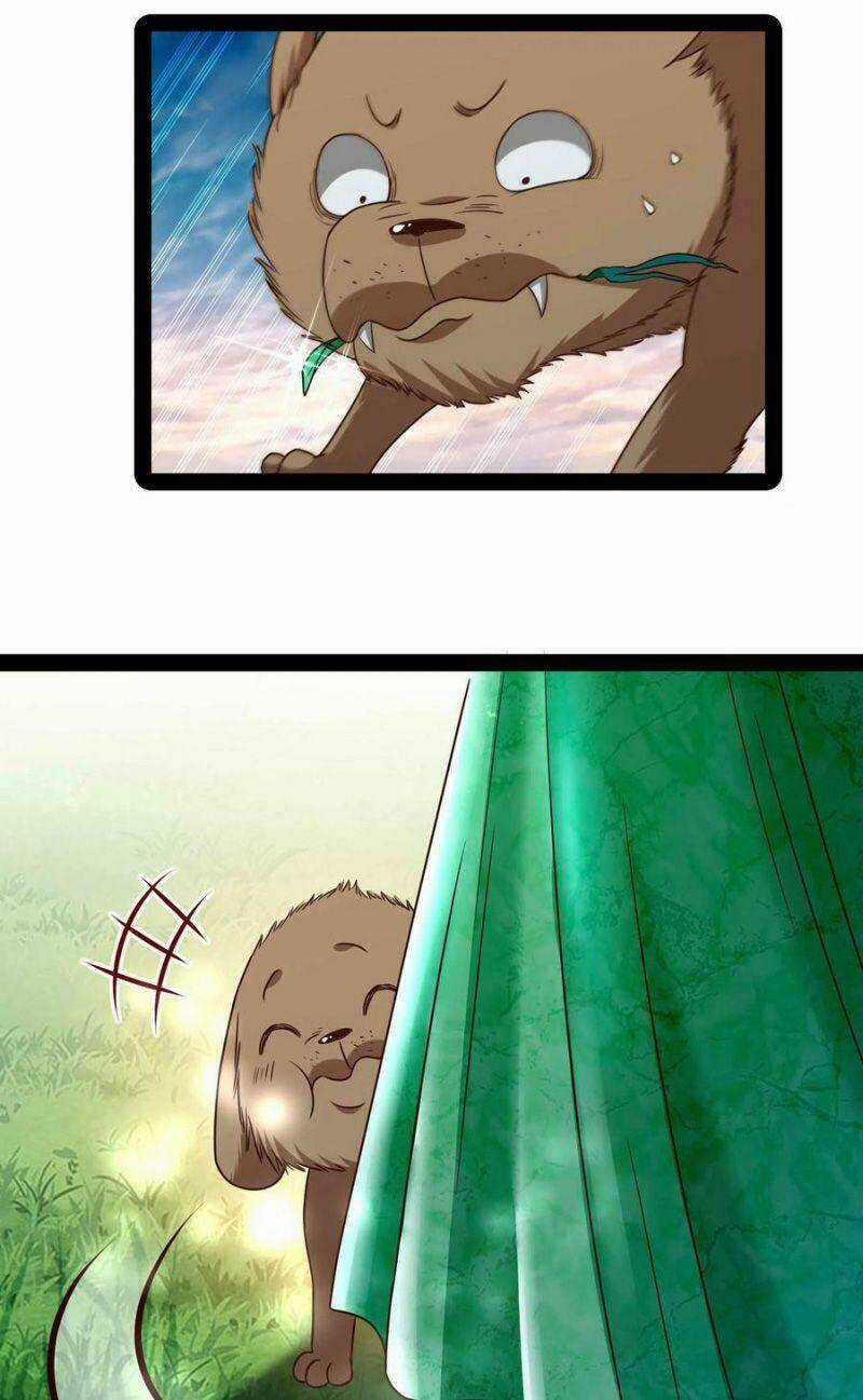 Trùng Sinh Đô Thị Thiên Tôn - Chapter 296 - Trang 13