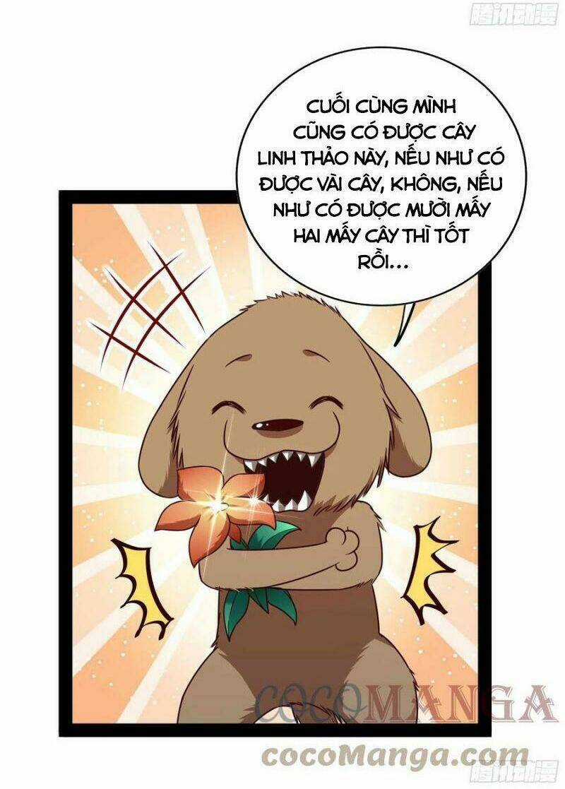 Trùng Sinh Đô Thị Thiên Tôn - Chapter 297 - Trang 20