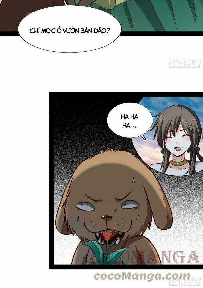 Trùng Sinh Đô Thị Thiên Tôn - Chapter 297 - Trang 24