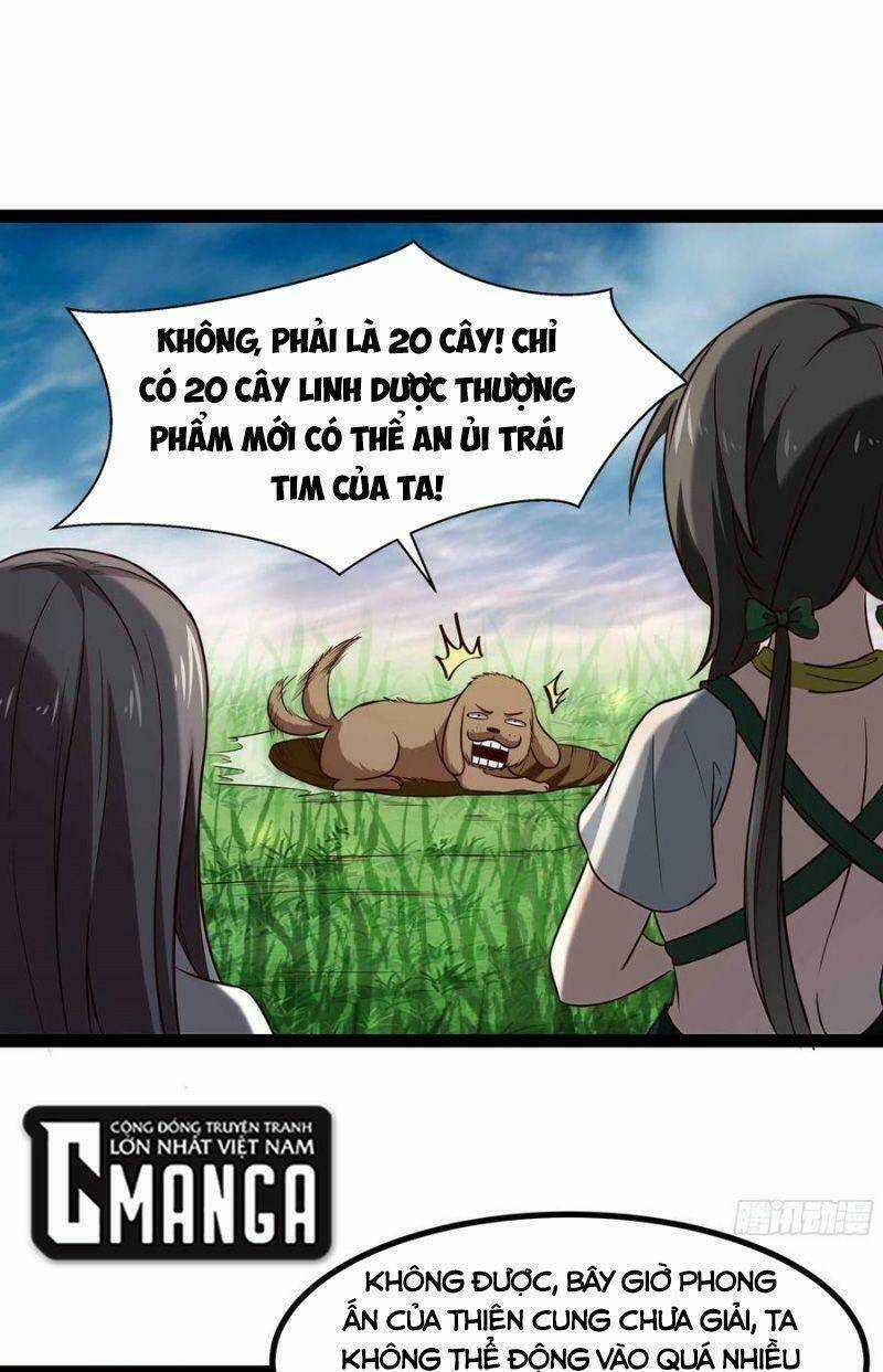 Trùng Sinh Đô Thị Thiên Tôn - Chapter 298 - Trang 7