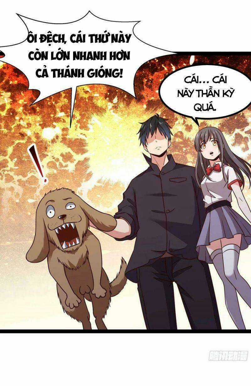 Trùng Sinh Đô Thị Thiên Tôn - Chapter 299 - Trang 3