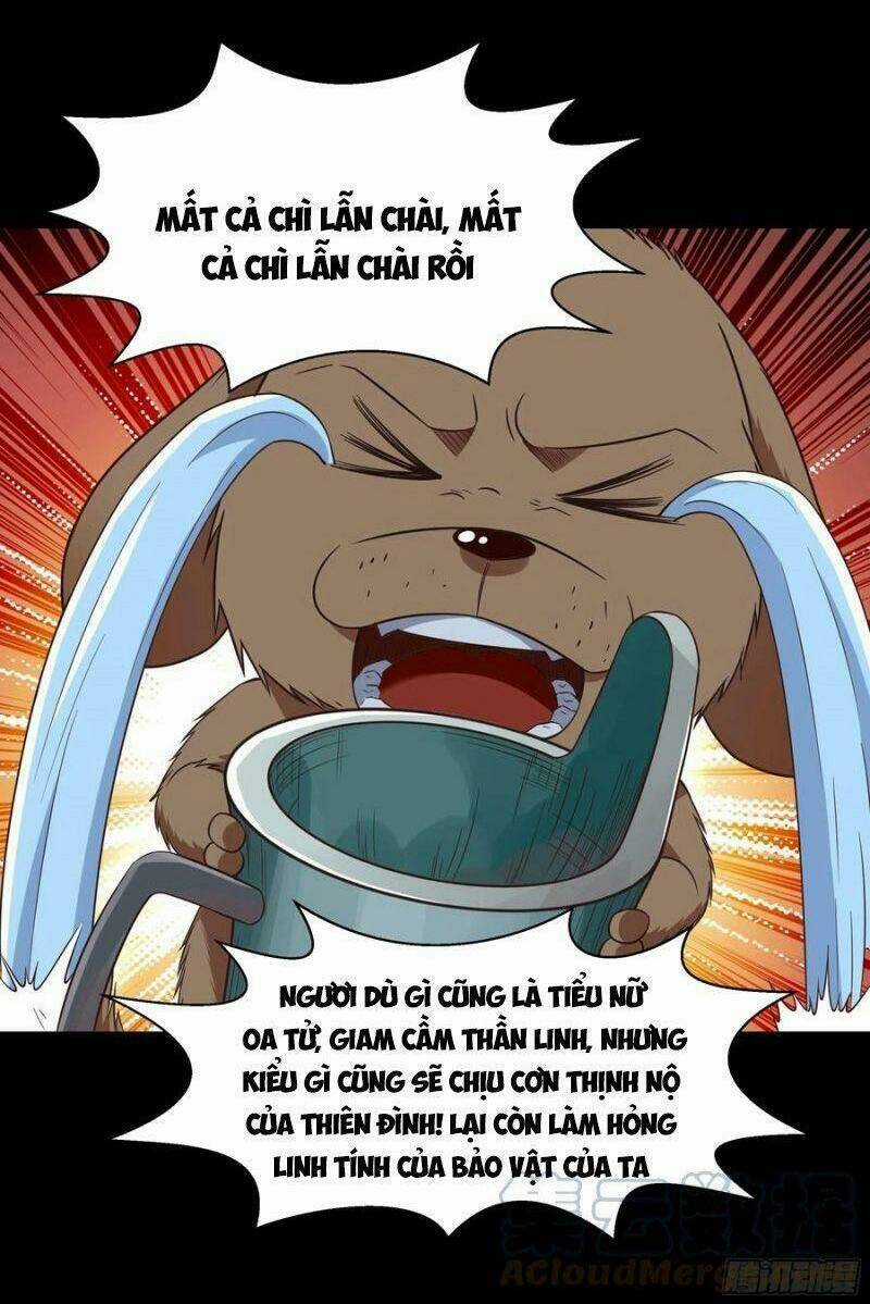 Trùng Sinh Đô Thị Thiên Tôn - Chapter 308 - Trang 5