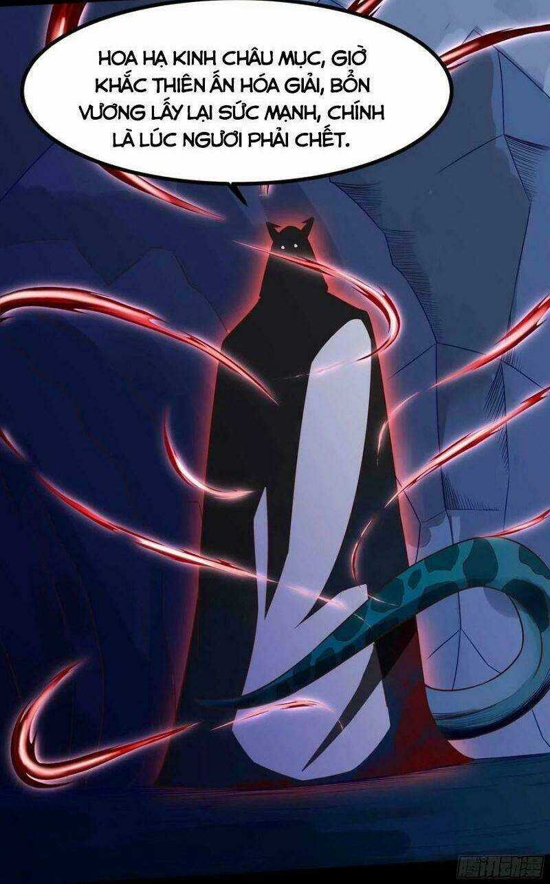 Trùng Sinh Đô Thị Thiên Tôn - Chapter 312 - Trang 5