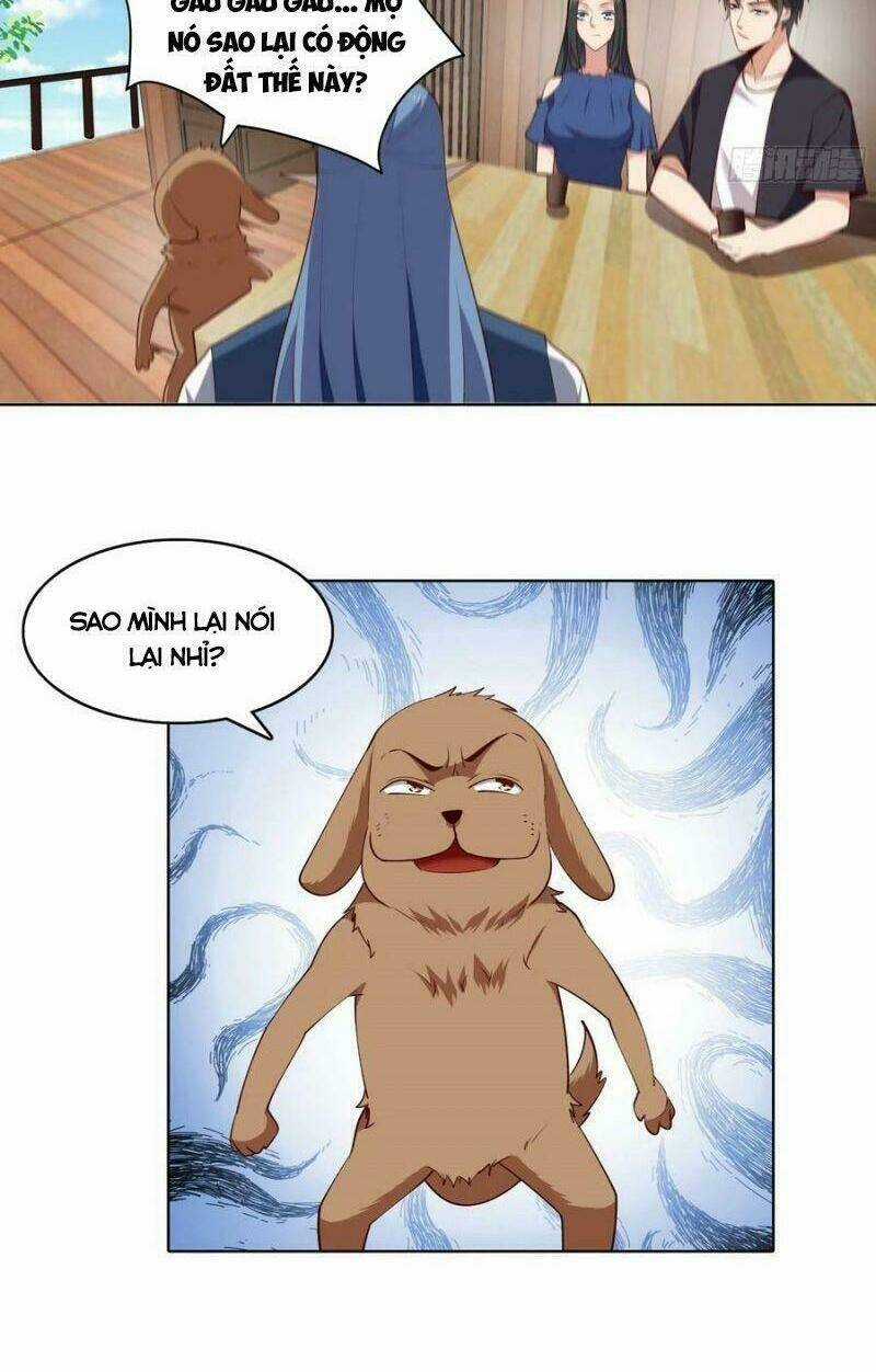 Trùng Sinh Đô Thị Thiên Tôn - Chapter 347 - Trang 22