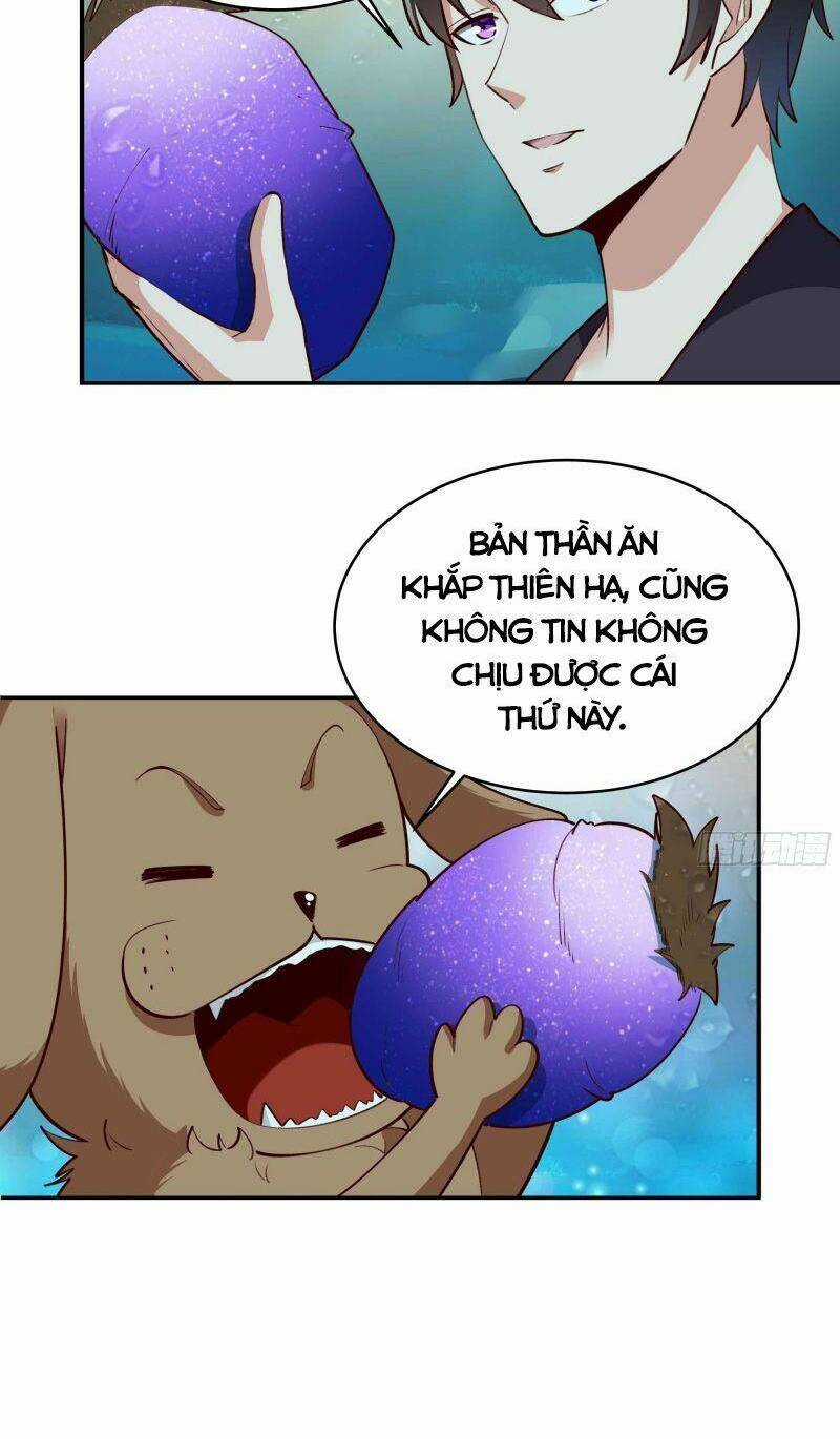 Trùng Sinh Đô Thị Thiên Tôn - Chapter 351 - Trang 8