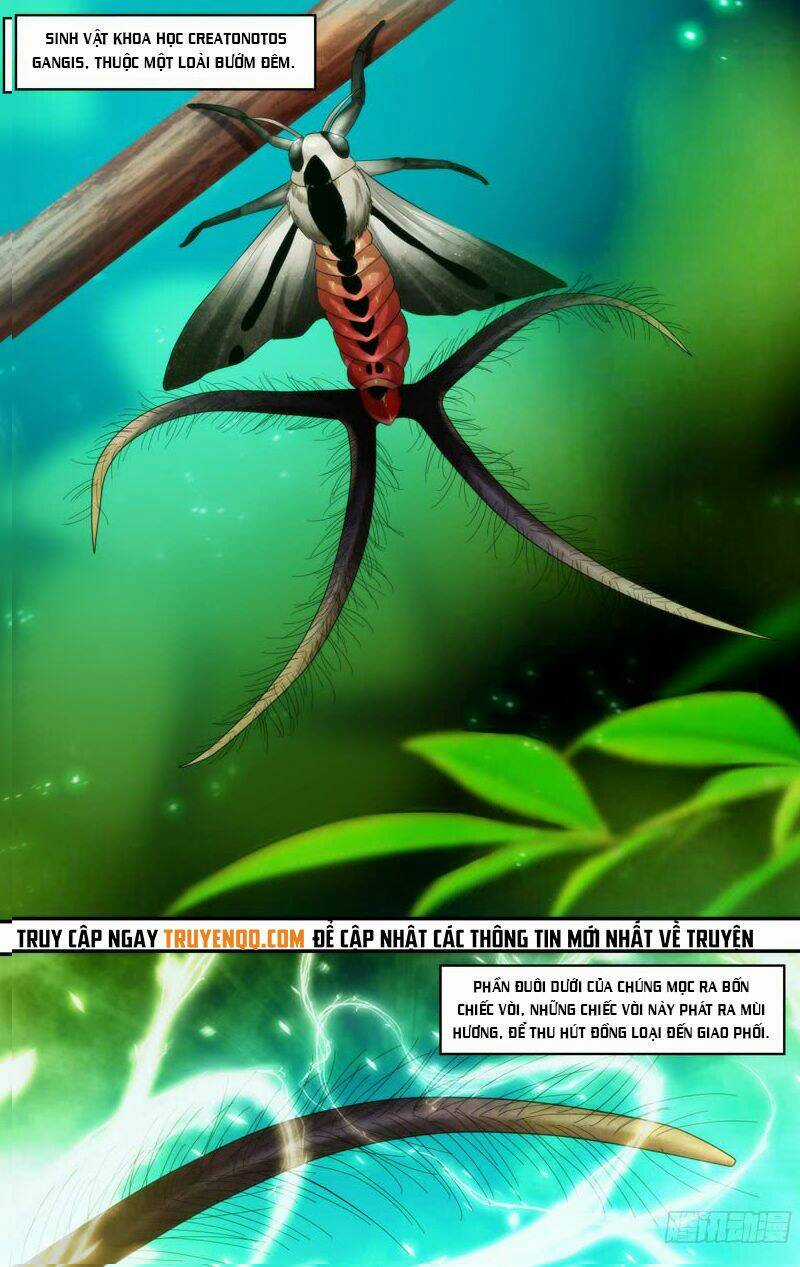Trùng Sinh - Chapter 105 - Trang 25