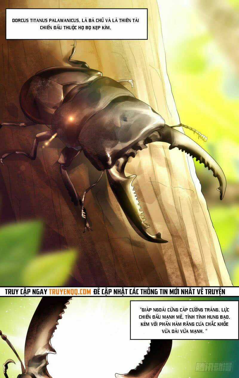 Trùng Sinh - Chapter 109 - Trang 4