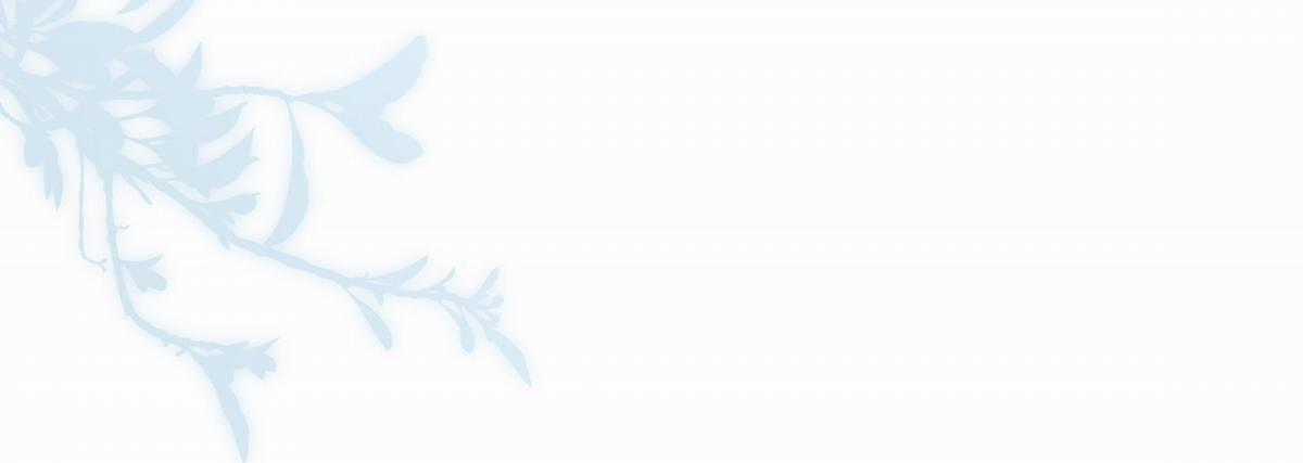 Trường Cấp Ba Sơn Hải - Chapter 24 - Trang 48