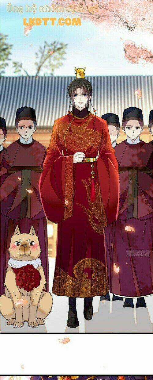 TỰ CẨM - Chapter 134 - Trang 12