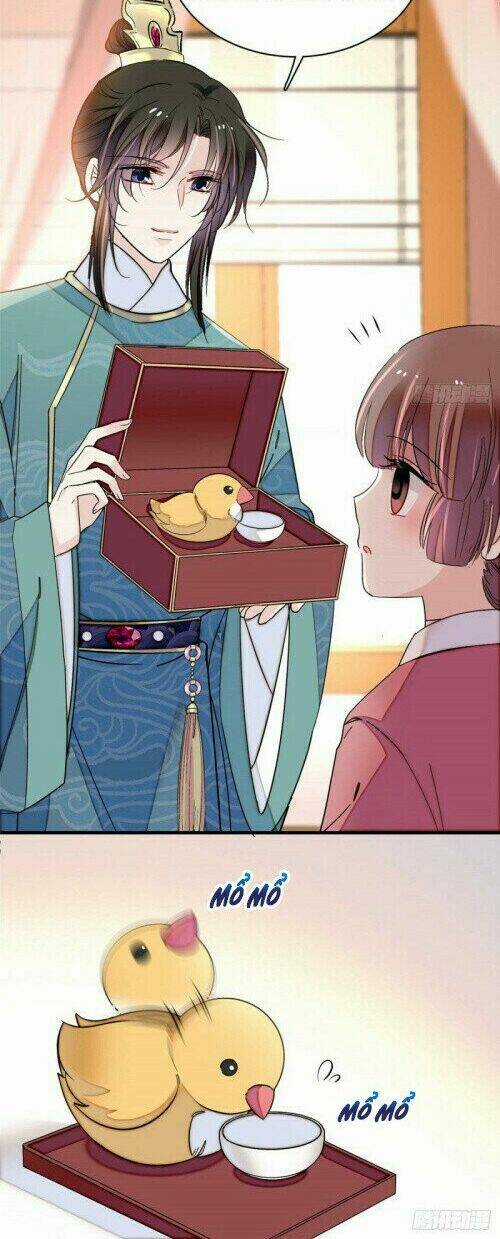 TỰ CẨM - Chapter 137 - Trang 13