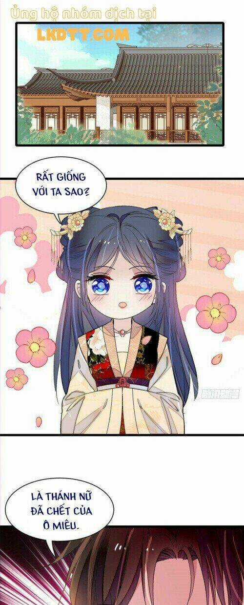 TỰ CẨM - Chapter 141 - Trang 12