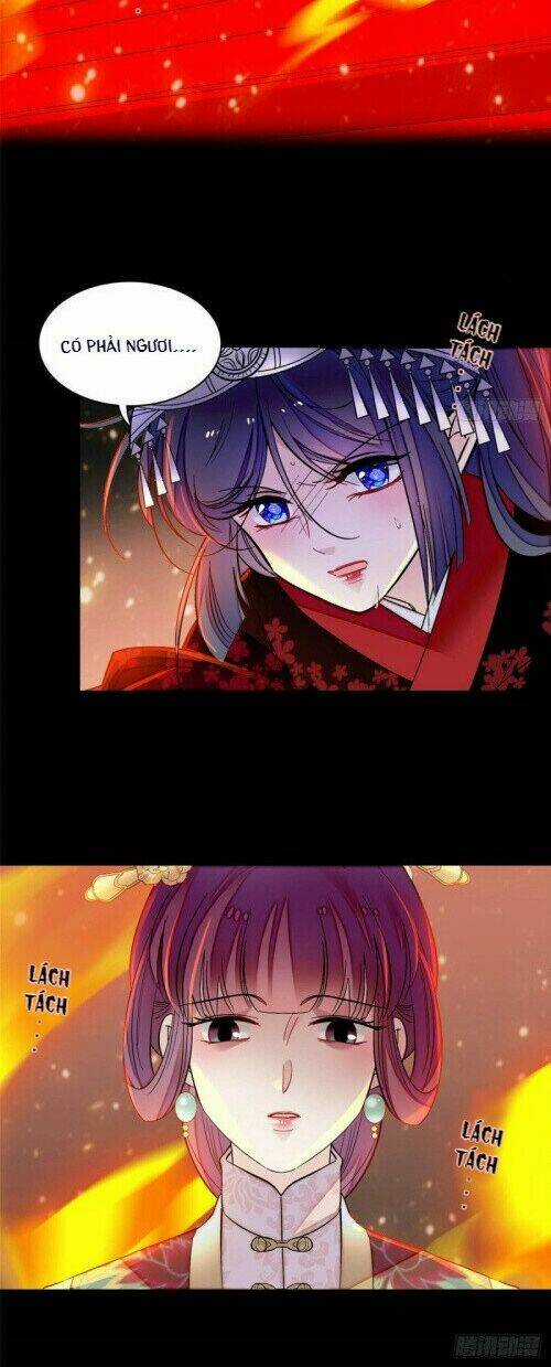 TỰ CẨM - Chapter 143 - Trang 4