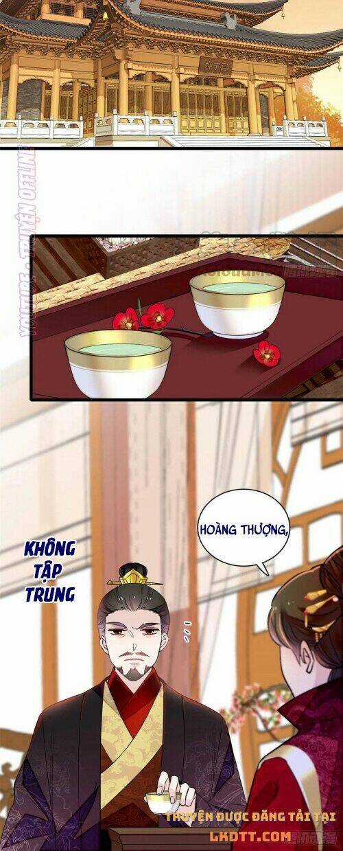 TỰ CẨM - Chapter 174 - Trang 29