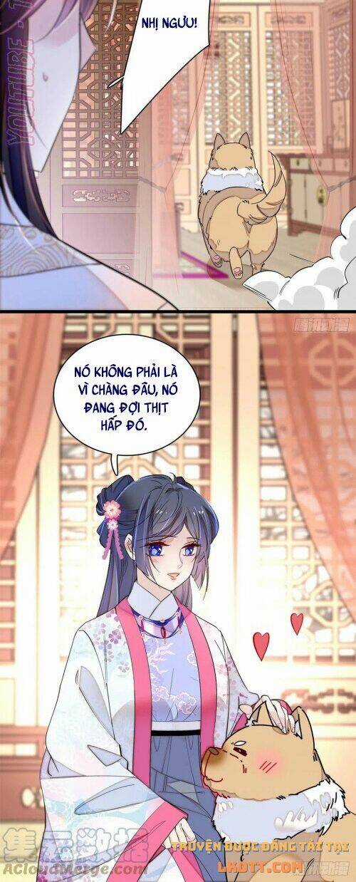 TỰ CẨM - Chapter 181 - Trang 18