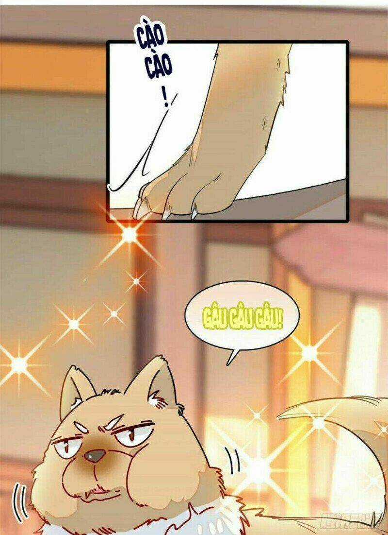 TỰ CẨM - Chapter 193 - Trang 38