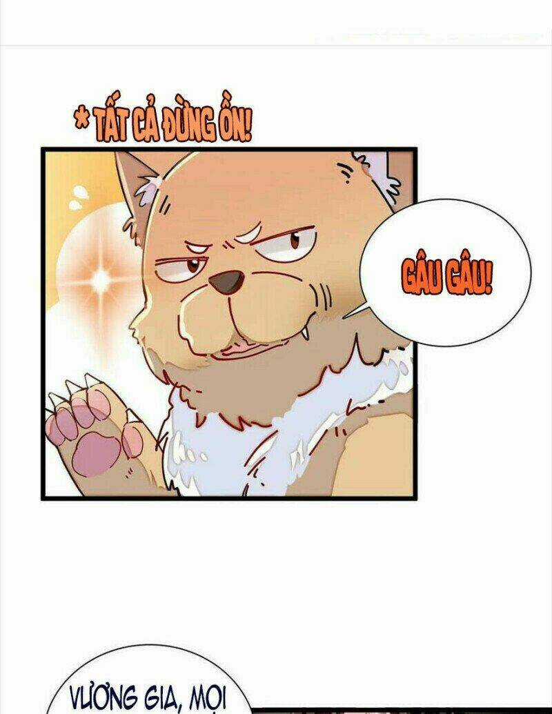 TỰ CẨM - Chapter 194 - Trang 25