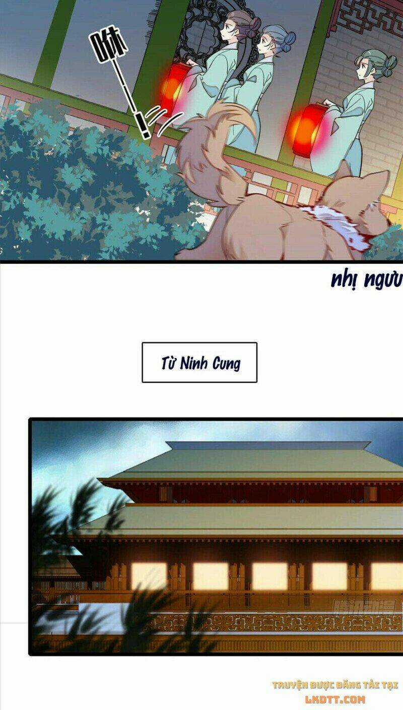 TỰ CẨM - Chapter 198 - Trang 11
