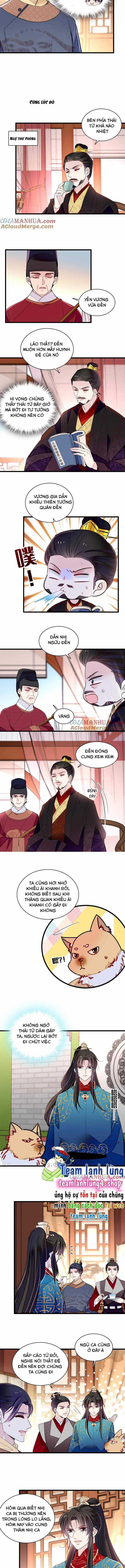 TỰ CẨM - Chapter 246 - Trang 3