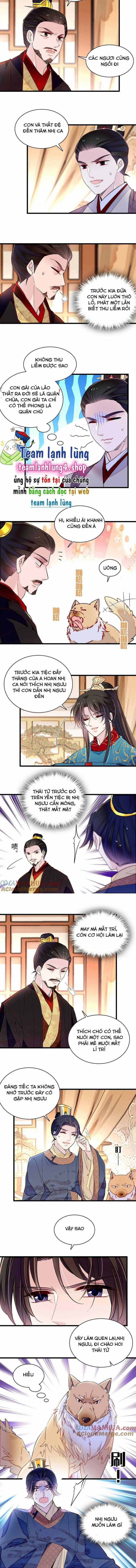 TỰ CẨM - Chapter 246 - Trang 5