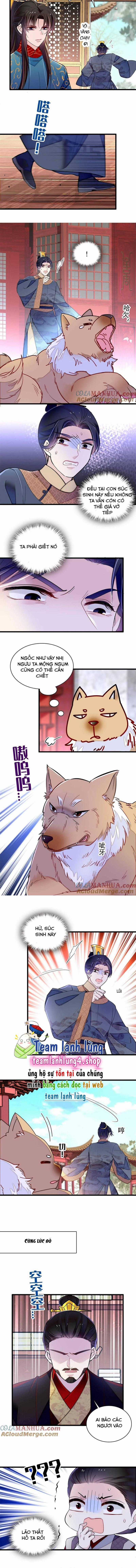 TỰ CẨM - Chapter 247 - Trang 5