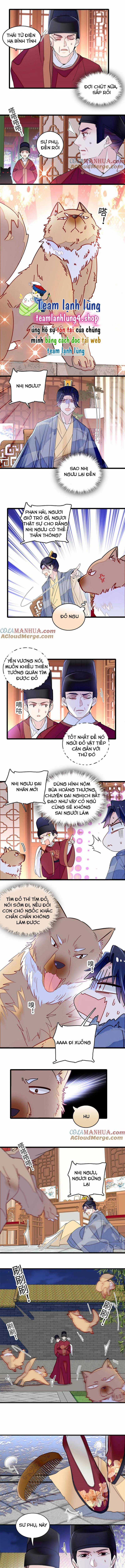 TỰ CẨM - Chapter 257 - Trang 4