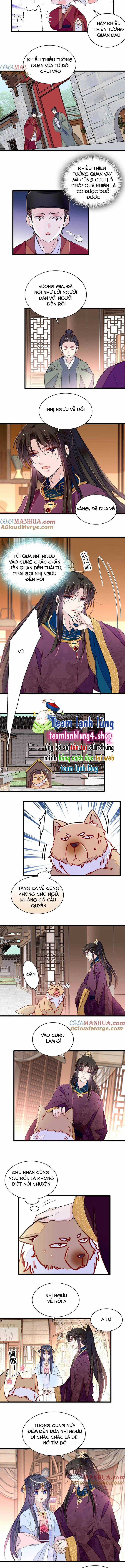 TỰ CẨM - Chapter 258 - Trang 4