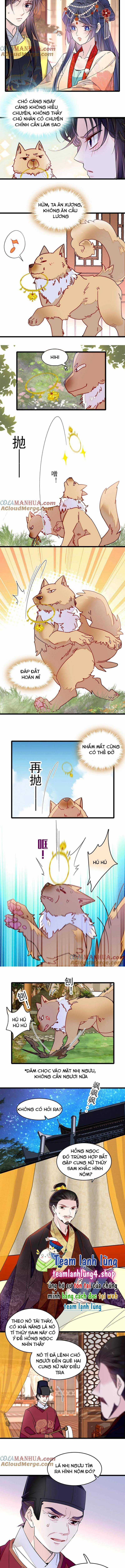 TỰ CẨM - Chapter 260 - Trang 3