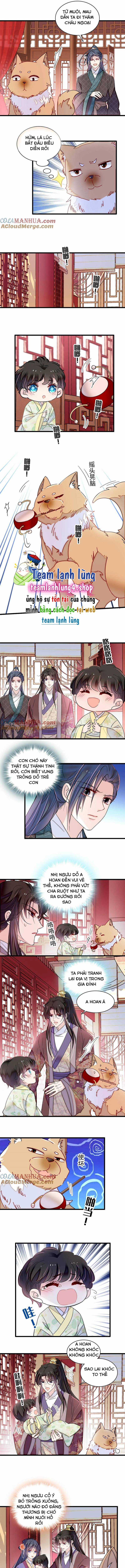TỰ CẨM - Chapter 304 - Trang 4