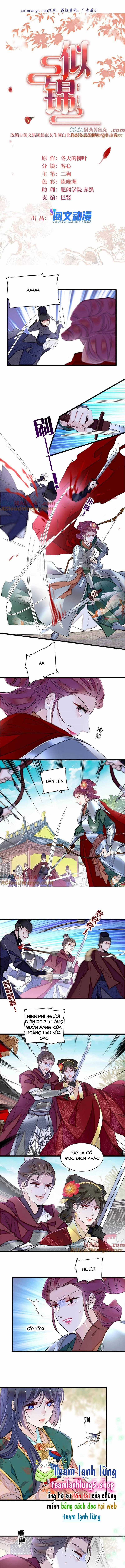 TỰ CẨM - Chapter 384 - Trang 2