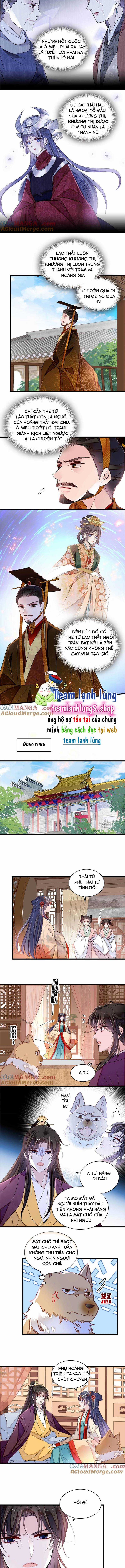TỰ CẨM - Chapter 385 - Trang 4