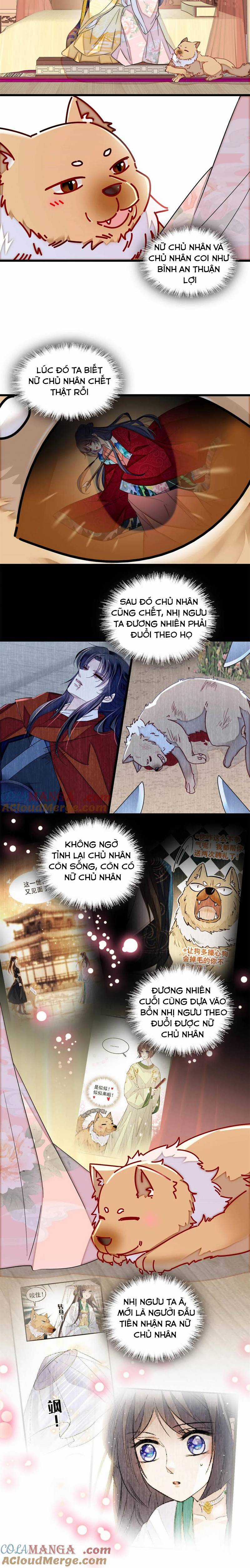 TỰ CẨM - Chapter 388 - Trang 6
