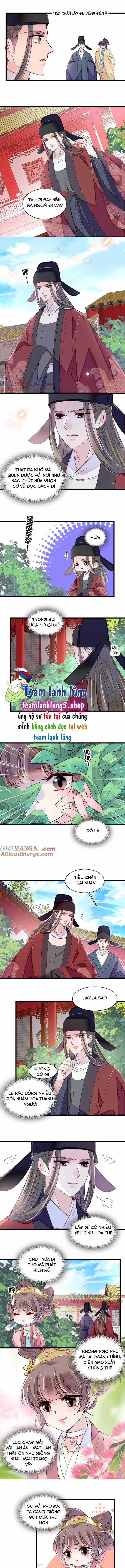 TỰ CẨM - Chapter 389 - Trang 4