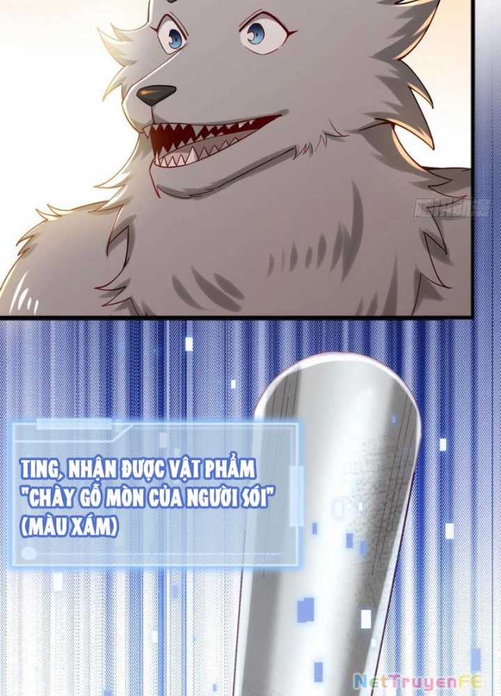 Từ Dã Quái Bắt Đầu Thăng Cấp - Chapter 2 - Trang 97