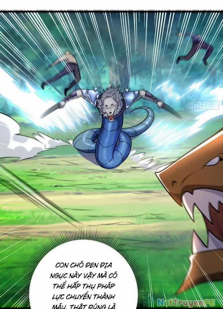 Từ Dã Quái Bắt Đầu Thăng Cấp - Chapter 21 - Trang 32