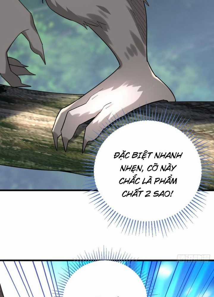 Từ Dã Quái Bắt Đầu Thăng Cấp - Chapter 4 - Trang 13