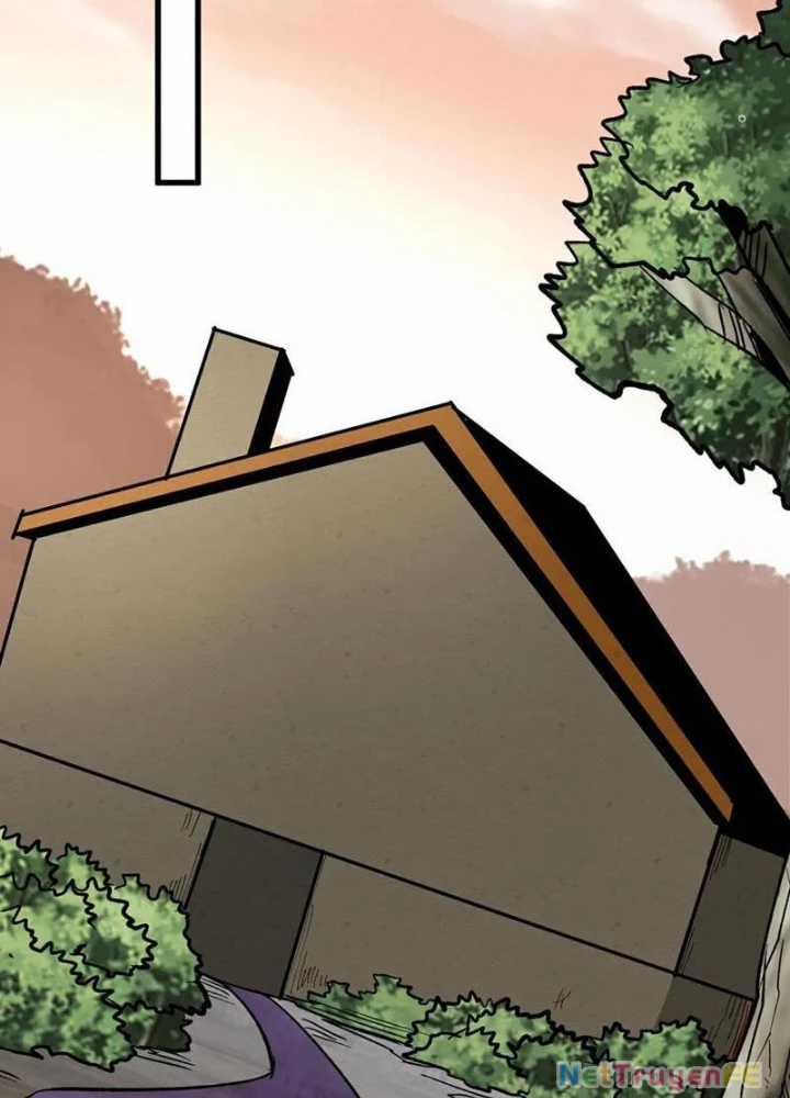 Từ Dã Quái Bắt Đầu Thăng Cấp - Chapter 51 - Trang 18