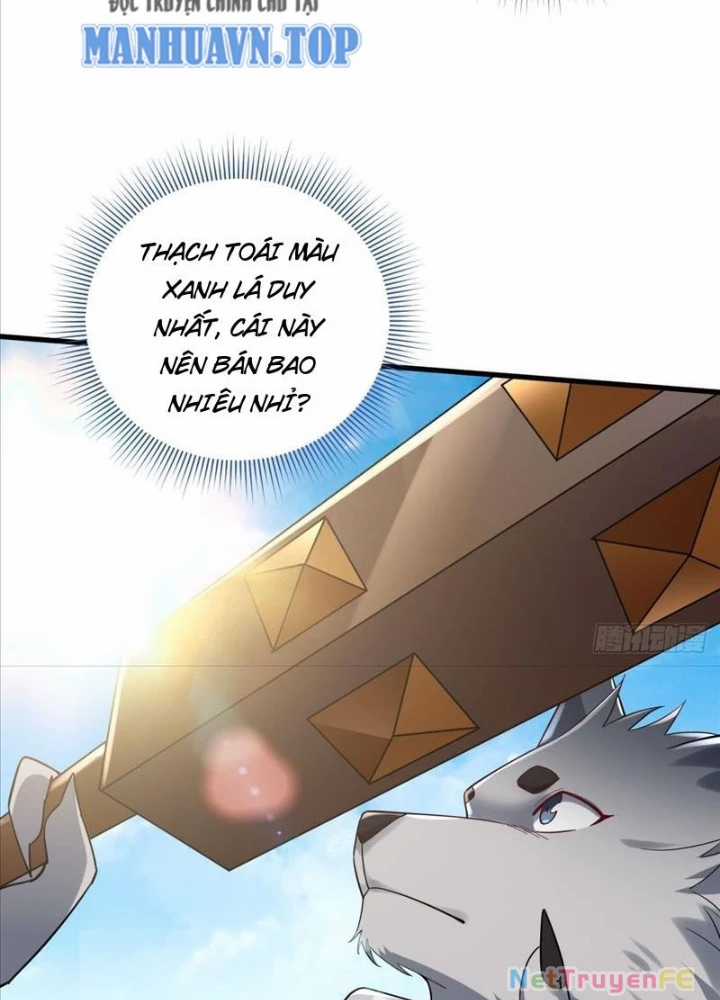 Từ Dã Quái Bắt Đầu Thăng Cấp - Chapter 6 - Trang 13