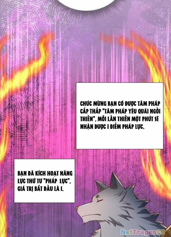 Từ Dã Quái Bắt Đầu Thăng Cấp - Chapter 7 - Trang 79
