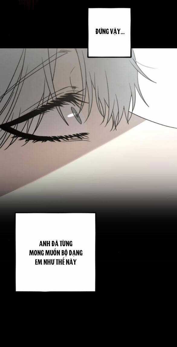 Tự Do Trong Mơ - Chapter 132.1 - Trang 35