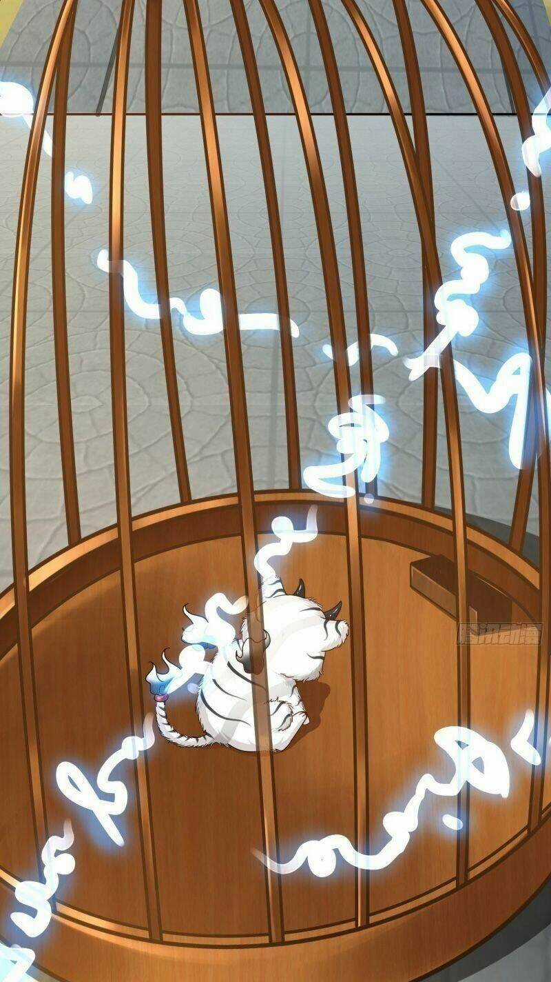 TỪ HÔM NAY TRỞ THÀNH HACK - Chapter 1 - Trang 9