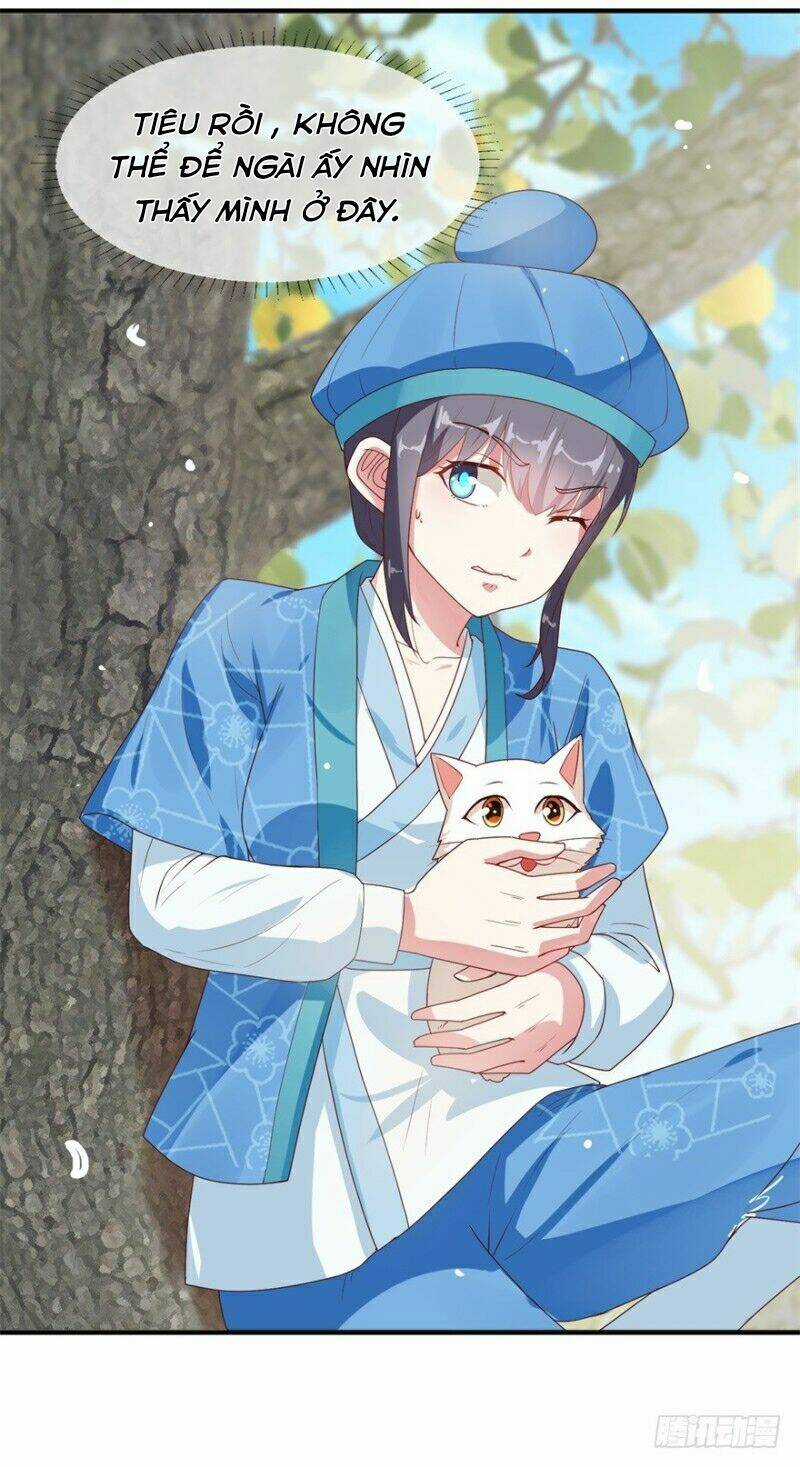 Tư Sủng Âm Dương Phi - Chapter 10 - Trang 10