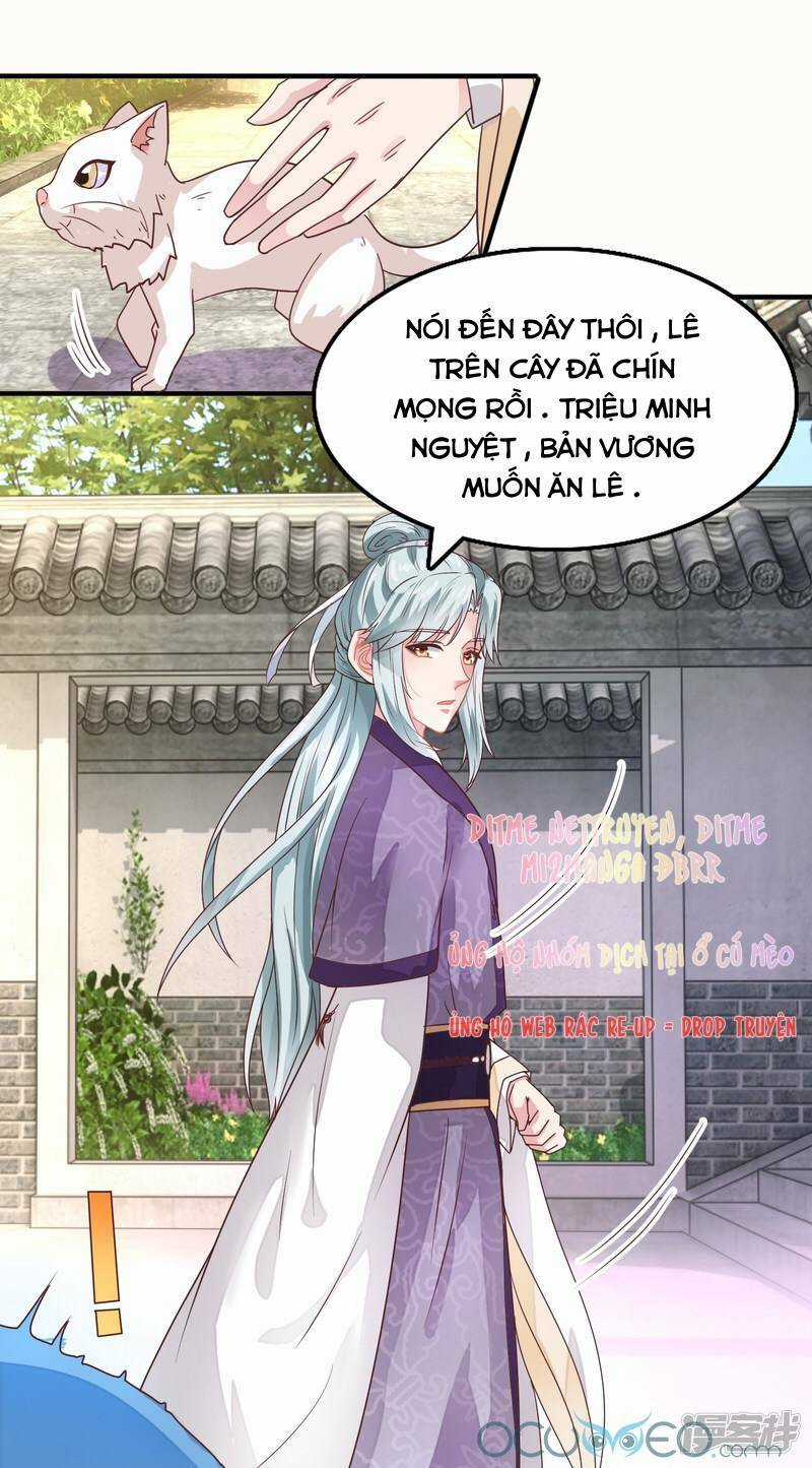 Tư Sủng Âm Dương Phi - Chapter 16 - Trang 23