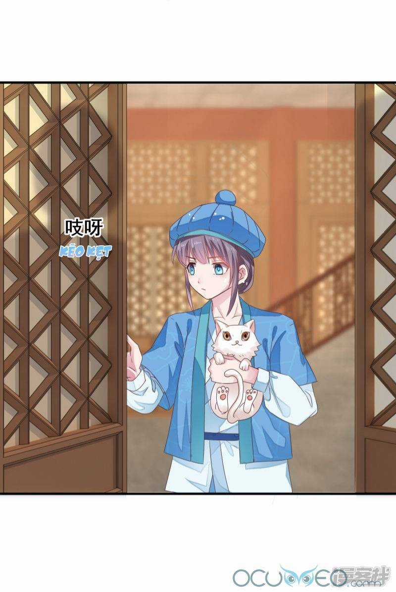 Tư Sủng Âm Dương Phi - Chapter 19 - Trang 4